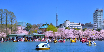 Organizations comprising “Ueno, a Global Capital of Culture”