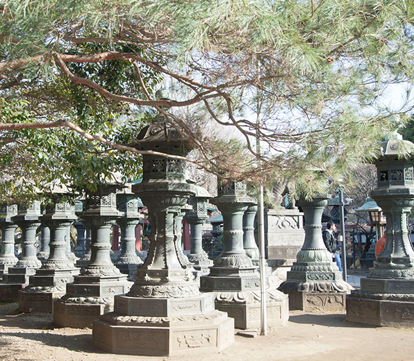 The bronze lanterns at Toshogu Shrine