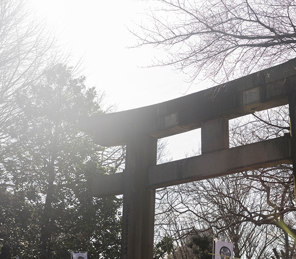 The large granite torii gate at Toshogu Shrine