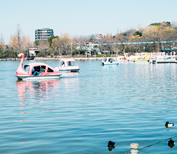 Shinobazu Pond (Boat pond)
