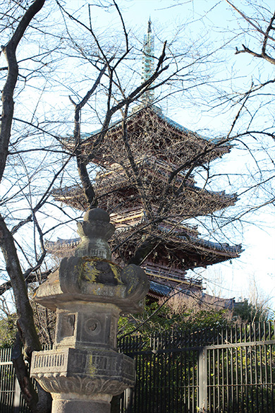 旧寛永寺五重塔 バリアフリーマップ 上野文化の杜