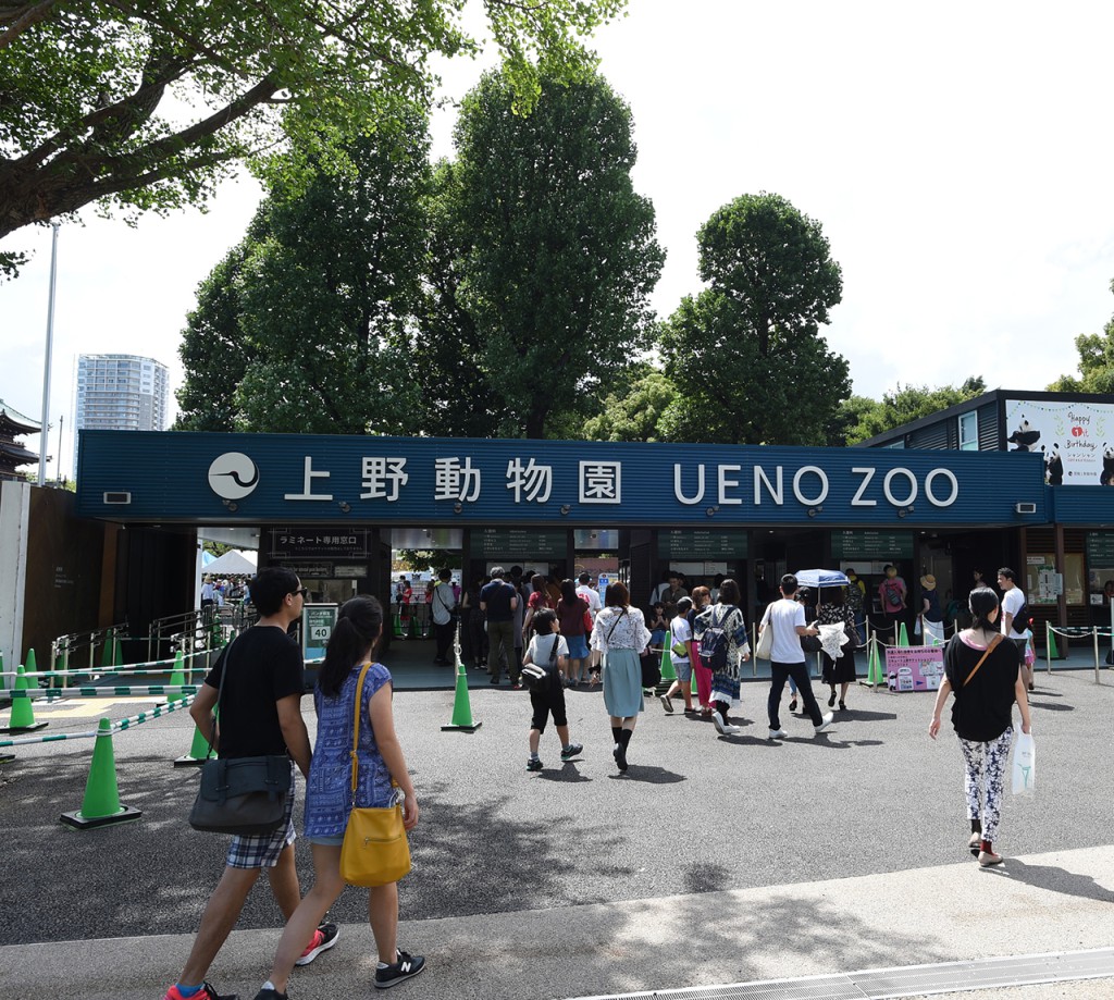 上野動物園 上野の文化施設 上野文化の杜