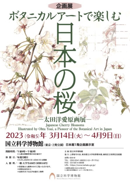 太田洋愛ボタニカルアートくずの花