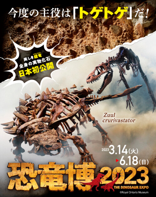 ホルツ博士の最新恐竜事典 517OA29g+lL._AC_SY200_QL15_.jpg