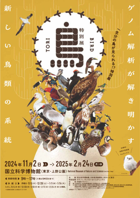 特別展「鳥 ～ゲノム解析が解き明かす新しい鳥類の系統～」 | ウエノ