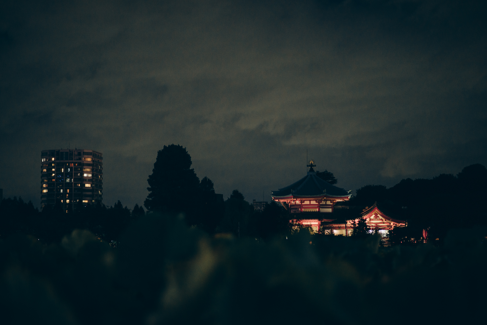 上野公園スタディーズ