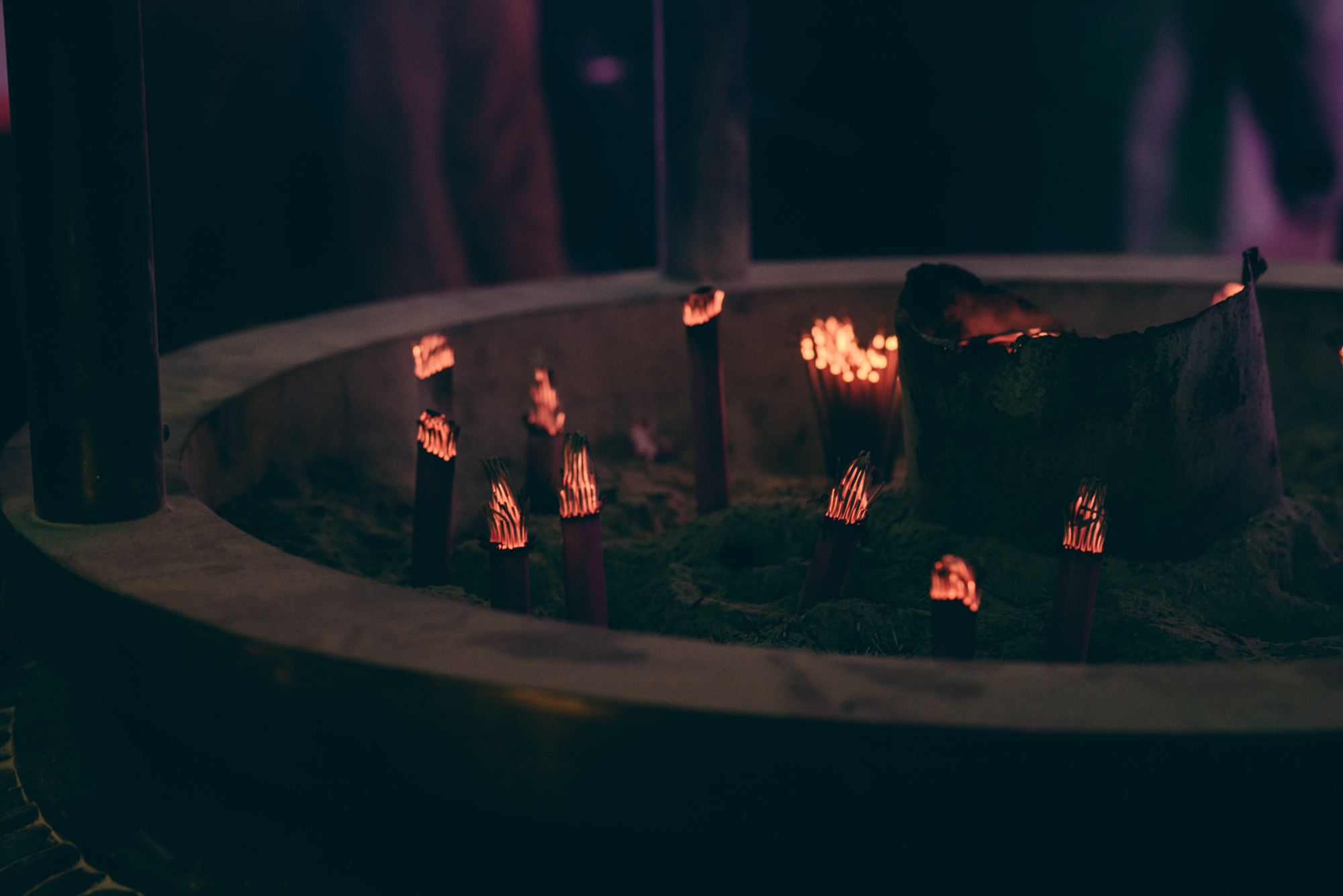 上野公園スタディーズ